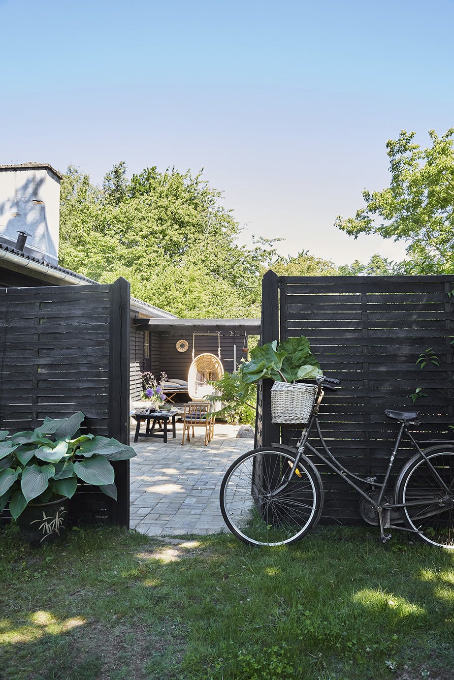 chilidegnbom220732 sort gjerde sommerhytte
